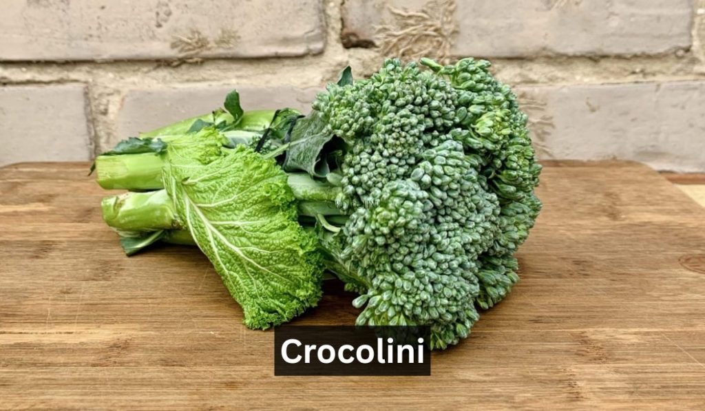 Crocolini